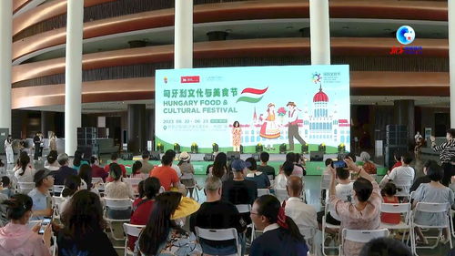 全球連線 以美食促交流 匈牙利文化與美食節(jié)亮相河北廊坊