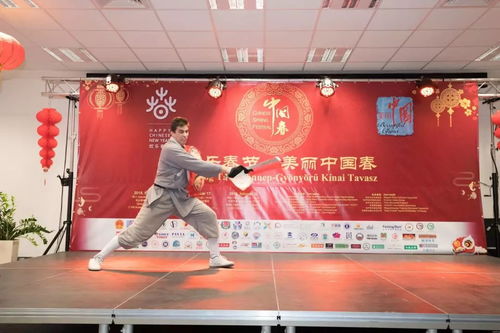 中國年文化在匈牙利綻放奇花, 歡樂春節 美麗中國春 活動現場人潮涌動 精彩視頻集錦 高清圖組