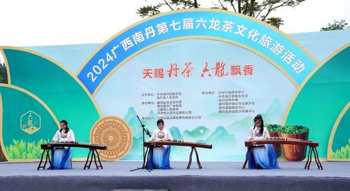 歌聲悠揚(yáng) 茶韻飄香 南丹第七屆六龍茶文化旅游活動開幕